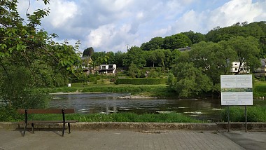 Le chêne à l'image