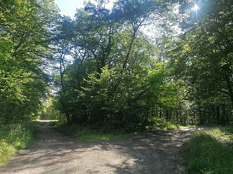Soetrich trail