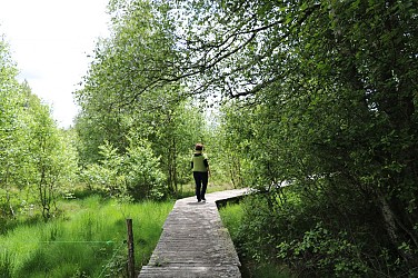 Chemin de découverte de la tourbière de Négarioux-Malsagne