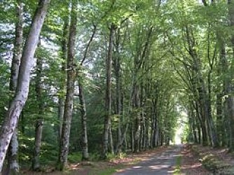 Chemin de l'âme de l'âne au Rio Négro