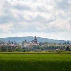 PR026 La Roche Dragon