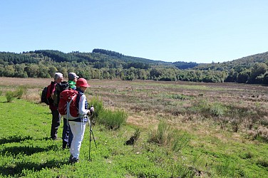 Circuit d’interprétation de la tourbière de Rebière Nègre - 4 km