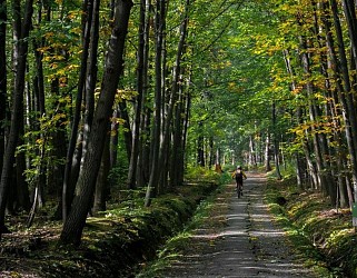 Itinéraire vtt : Le balcon n°7