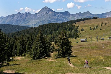 Downhill MTB - La Coyote