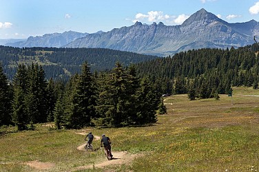 Downhill MTB - La Monchu