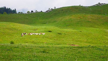 Sentier de randonnée pédestre - Col du Perret