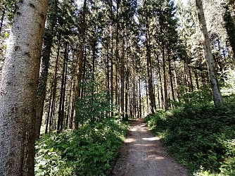 Sentier de randonnée pédestre - Circuit du Rocher Blanc