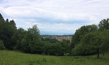 Circuit "Boucle du Crêt Boulanger"