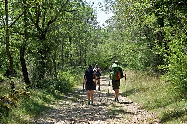 Boucle itinérante - Sur les pas de Saint-Jacques en Quercy Blanc