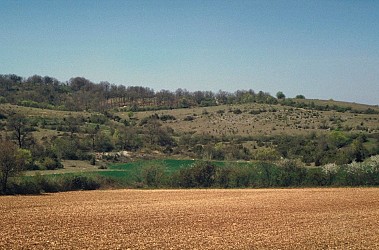 Circuit du Lac du Tolerme - Cyclo