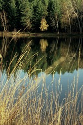 Le Plan d'Eau des Sagnes