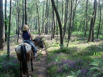 De la Bouriane à Rocamadour, entre Périgord noir et Haut Quercy - 6 jours à cheval