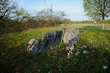 Les Dolmens de Miers