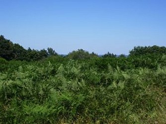 Sentier de la Montjoie