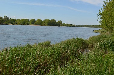 De l'eau et des arbres