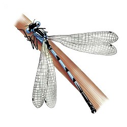 Le Circuit de l'eau : le barrage de Zola