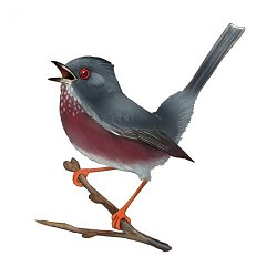 La Traversée Aix-en-Provence - Vauvenargues