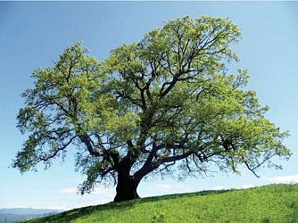 Les collines de Préssembois