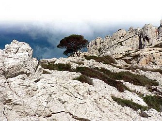 Le belvédère de Saint-Michel