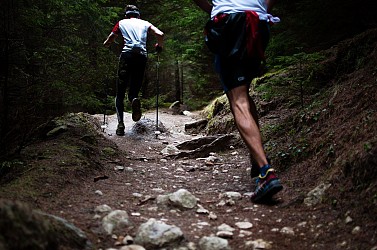 Parcours de Trail - Palaiseau