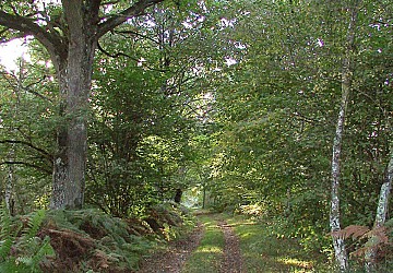 Circuit de la Minardière