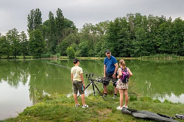 Faramans et la forêt de Bonnevaux
