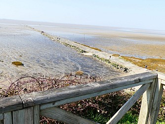 Esnandes : un village au bord de la réserve naturelle de la baie de l'Aiguillon