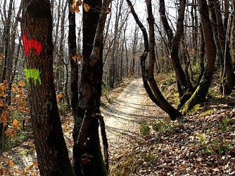 PARCOURS DU LOUP AU BOIS BARRAT