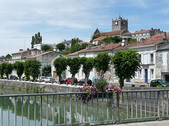 Saint-Savinien : le long du Charenton