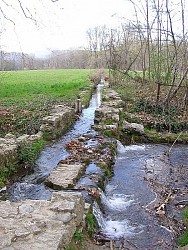 Les bords de l'Hérault