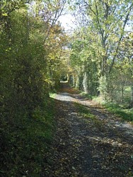 Méharie tour
