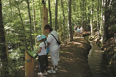The discovery trail of the canal of Beaumont.