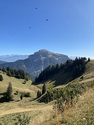 8 - Le Charmant Som on trail