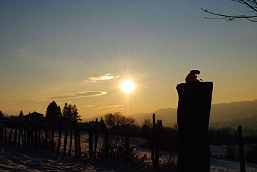 Walking trail : The wood of the Carthusian monks