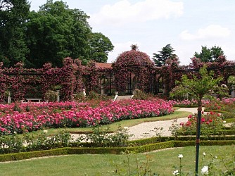 The Bièvre: and under our feet flows a river