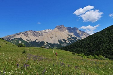 Col de Plate Contier