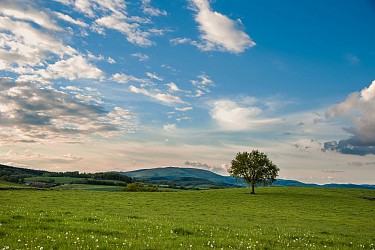Promenade du plateau