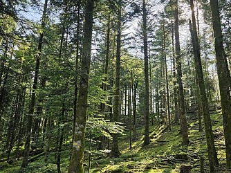 FAMILY WALK - LA BEUILLE