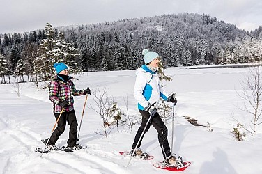 Snowshoeing trail - petit tour wissgrut
