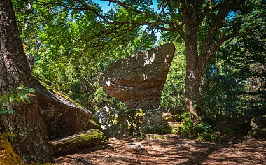 Circuit vtt n°1 (blue) les roches de la moulure