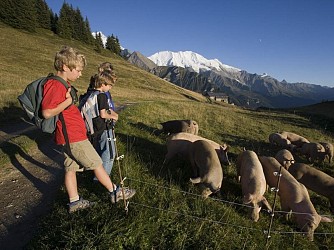 Randonnée à l'Alpage de la Charme