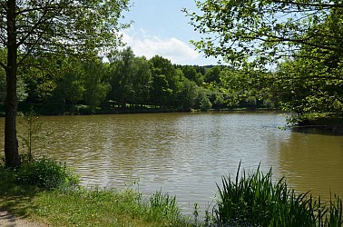 Randonnée - Étang Magaud