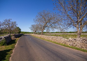 Circuit routier de la vallée de la Dordogne - boucle Sud