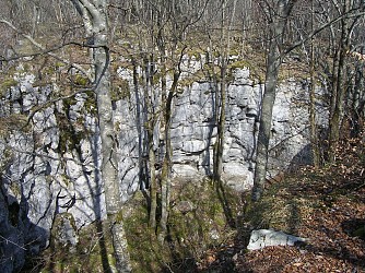 Sentier pédestre du Mont Clergeon - petite boucle