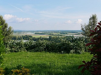 Circuit de la Forêt des Mothes