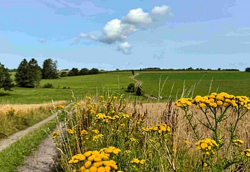 Promenade Au Sud du Ban de Chevigny