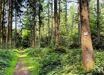 Promenade des églises et chapelle