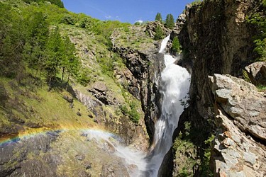 The Dormillouse circuit