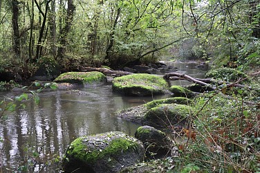 3 - Les Epesses - Sentier de la Sèvre Nantaise