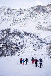 Chenarie vers fond de vallée  (hiver)